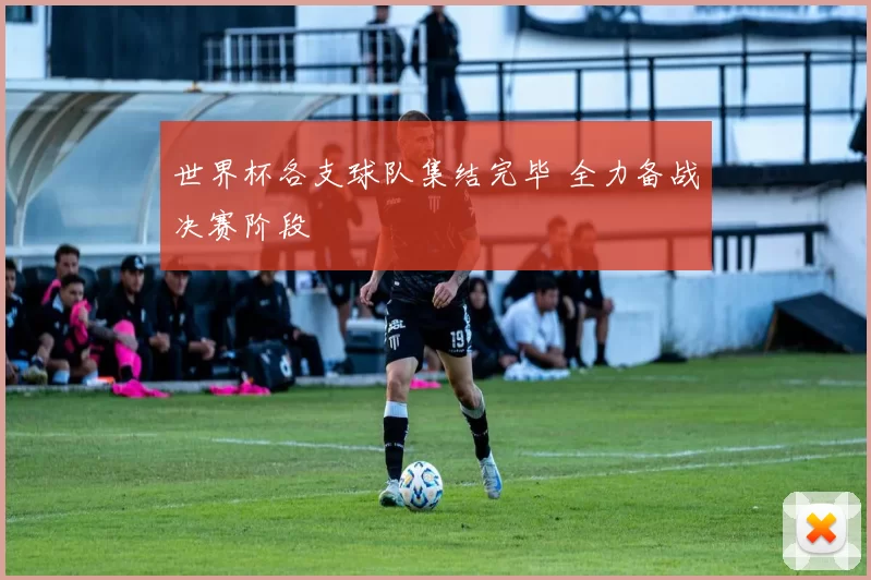 世界杯各支球队集结完毕 全力备战决赛阶段