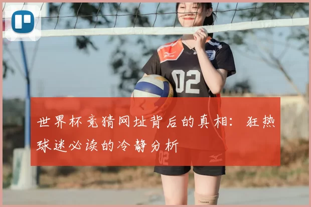 世界杯竞猜网址背后的真相：狂热球迷必读的冷静分析