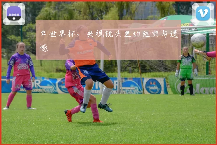 年世界杯,央视镜头里的经典与遗憾