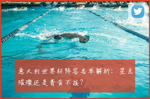 意大利世界杯阵容名单解析:星光璀璨还是青黄不接?