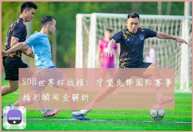 SDB世界杯战报：守望先锋国际赛事精彩瞬间全解析