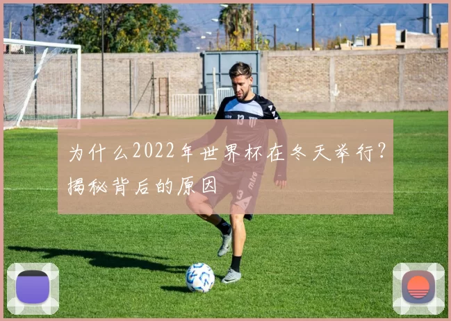 为什么2022年世界杯在冬天举行？揭秘背后的原因