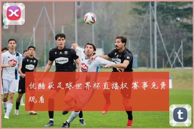 优酷获足球世界杯直播权 赛事免费观看