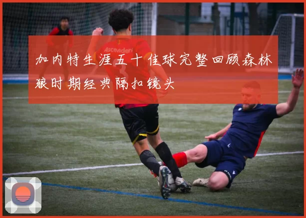 加内特生涯五十佳球完整回顾森林狼时期经典隔扣镜头