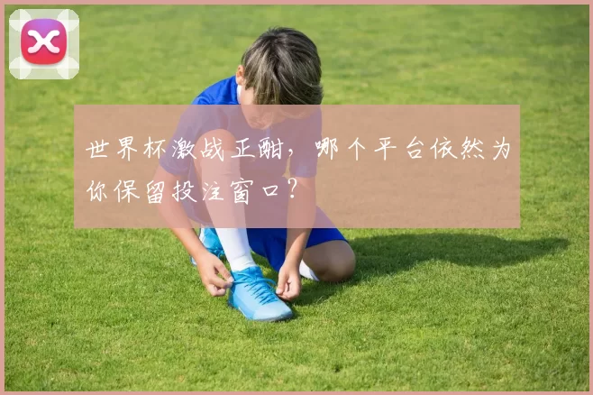 世界杯激战正酣，哪个平台依然为你保留投注窗口？