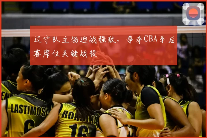 辽宁队主场迎战强敌,争夺CBA季后赛席位关键战役