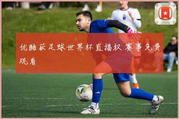 优酷获足球世界杯直播权 赛事免费观看