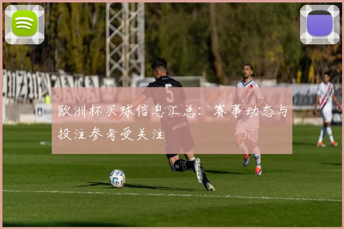 欧洲杯买球信息汇总：赛事动态与投注参考受关注
