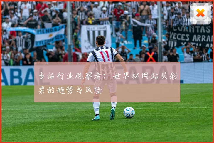 专访行业观察者：世界杯网站买彩票的趋势与风险