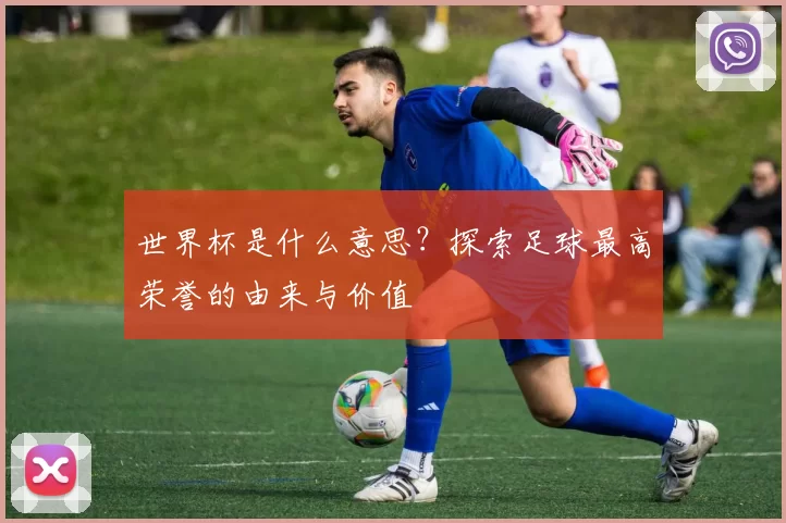 世界杯是什么意思?探索足球最高荣誉的由来与价值